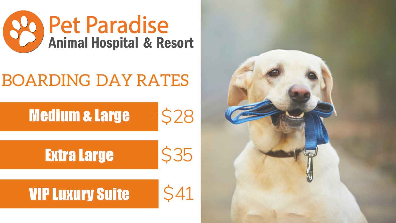 Buy Pet Boarding Rates | UP TO 60% OFF